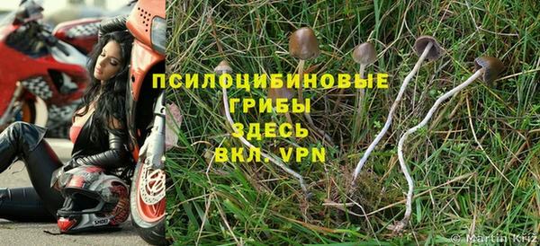 стаф Балабаново